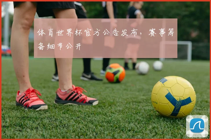 体育世界杯官方公告发布,赛事筹备细节公开