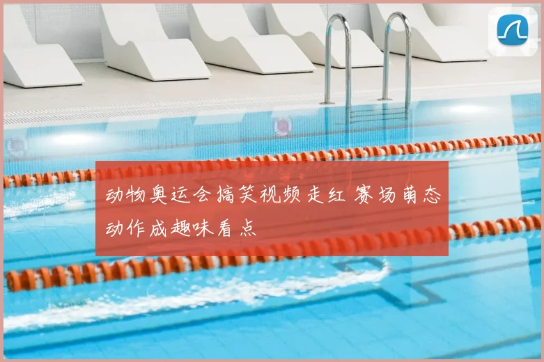 动物奥运会搞笑视频走红 赛场萌态动作成趣味看点