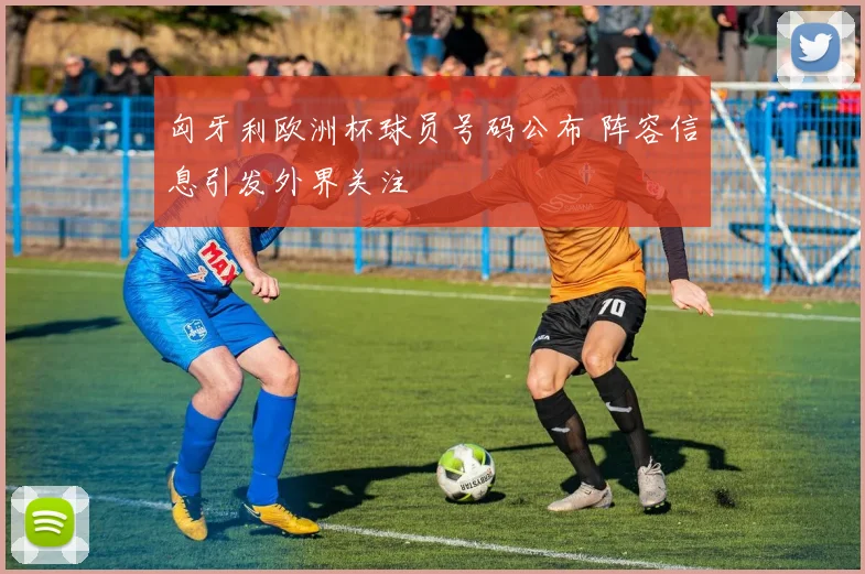 匈牙利欧洲杯球员号码公布 阵容信息引发外界关注