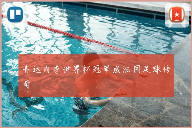 齐达内夺世界杯冠军成法国足球传奇