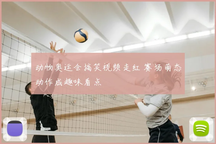 动物奥运会搞笑视频走红 赛场萌态动作成趣味看点