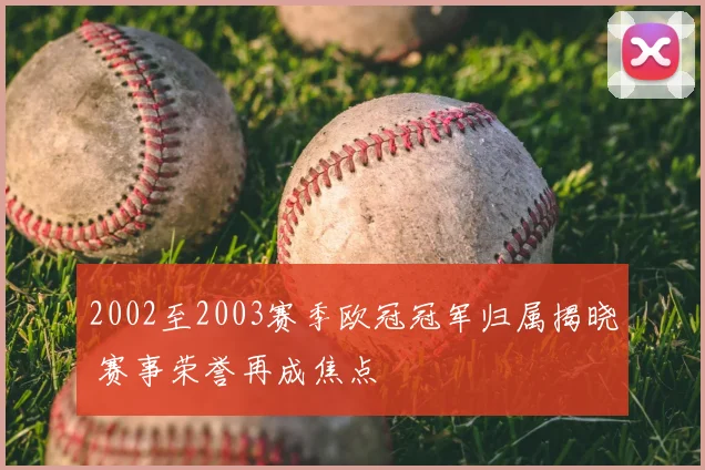2002至2003赛季欧冠冠军归属揭晓 赛事荣誉再成焦点