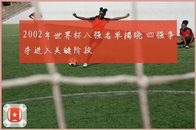 2002年世界杯八强名单揭晓 四强争夺进入关键阶段